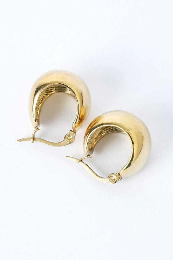 Curved Hoop Earrings - LovelyKayley