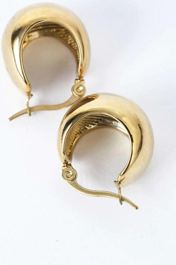 Curved Hoop Earrings - LovelyKayley